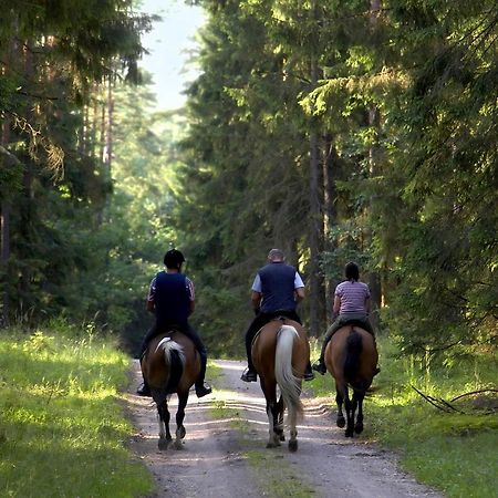 Glen Affric Holiday Park Cannich 外观 照片